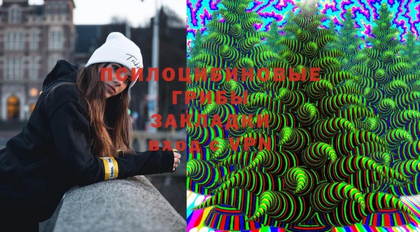 ГАЛЛЮЦИНОГЕННЫЕ ГРИБЫ Снежинск