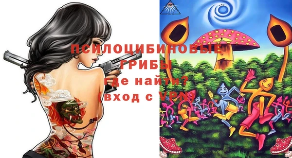ГАЛЛЮЦИНОГЕННЫЕ ГРИБЫ Снежинск