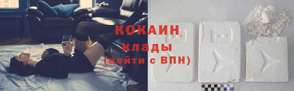 МДПВ Снежногорск