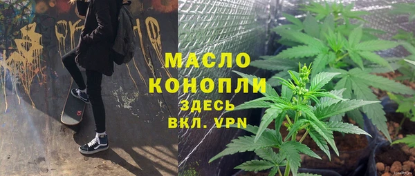 МДПВ Снежногорск