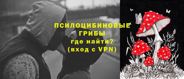 МДПВ Снежногорск