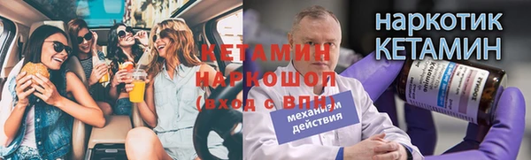 МДПВ Снежногорск